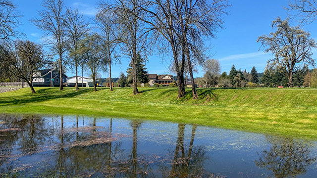 A residential buyout parcel in Chehalis, Washington.