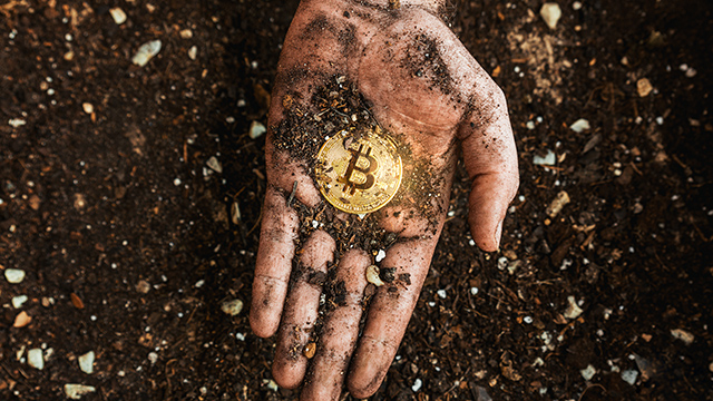 A hand holding a golden bitcoin that was pulled from the soil.